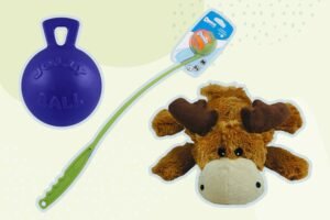 Best Dog Toys With Price in 2025