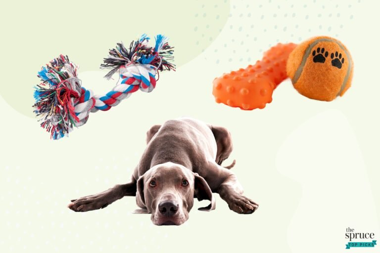 Best Dogs Toys With Price in 2025: Top Picks for Your Pup