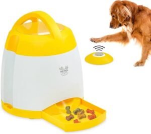 Treat toys for dogs