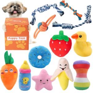 Small Dog'S Toys