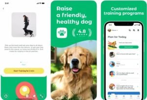 Top 10 Dog Training App